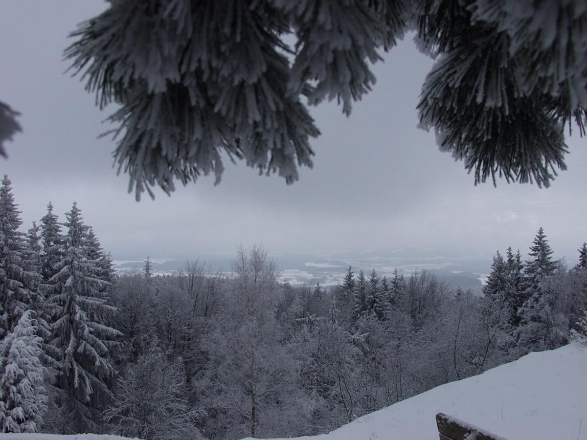 Steiner Wirt Hotel Tiefenbach  Kültér fotó