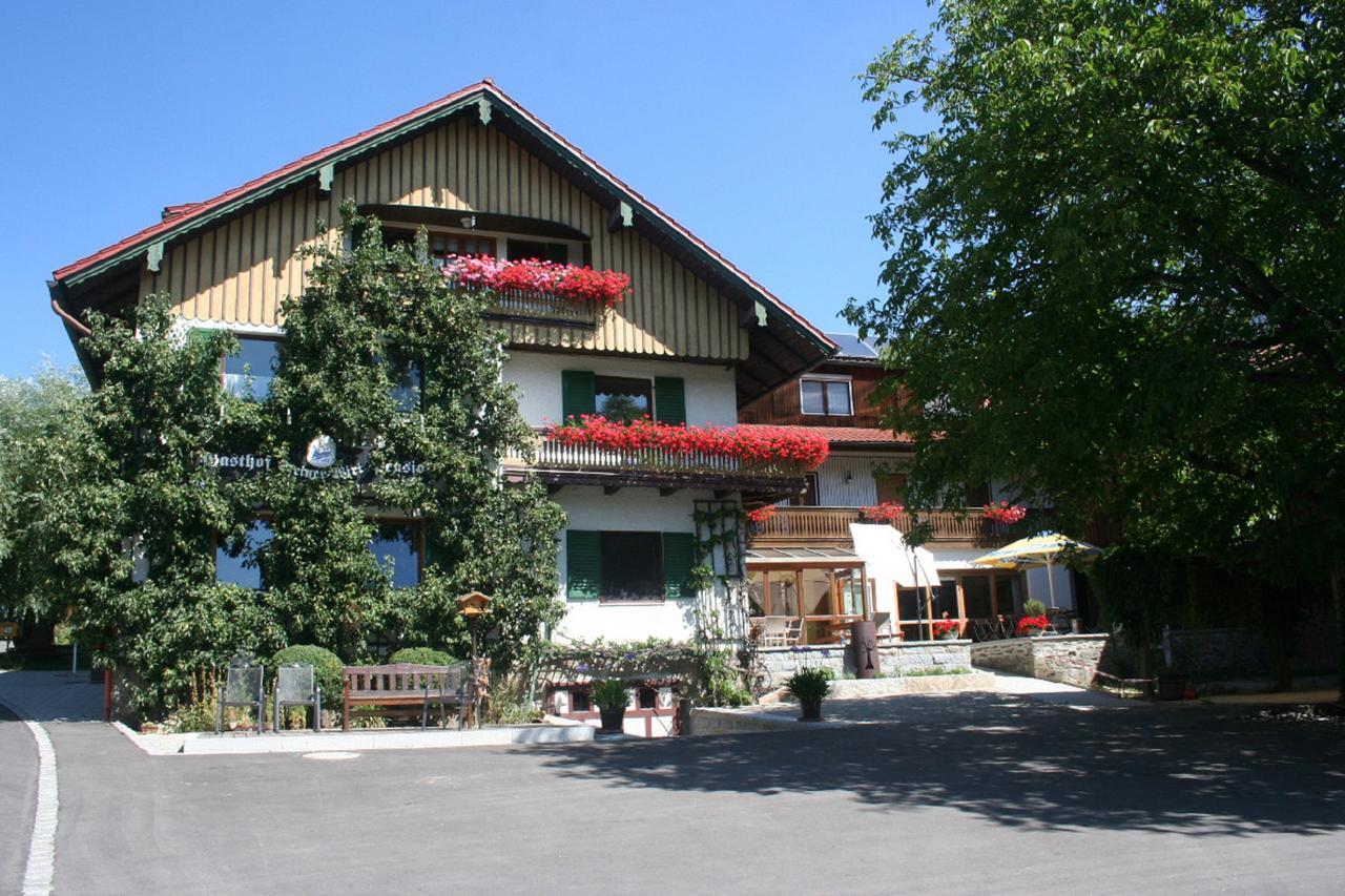 Steiner Wirt Hotel Tiefenbach  Kültér fotó